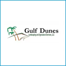 Gulf-Dunes_framed