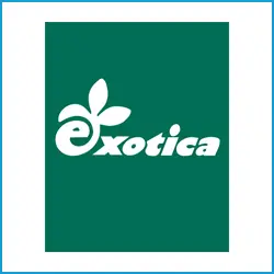 exotica-old-logo_6f425f21-8586-4cd8-b096-249dc9b905dc_framed